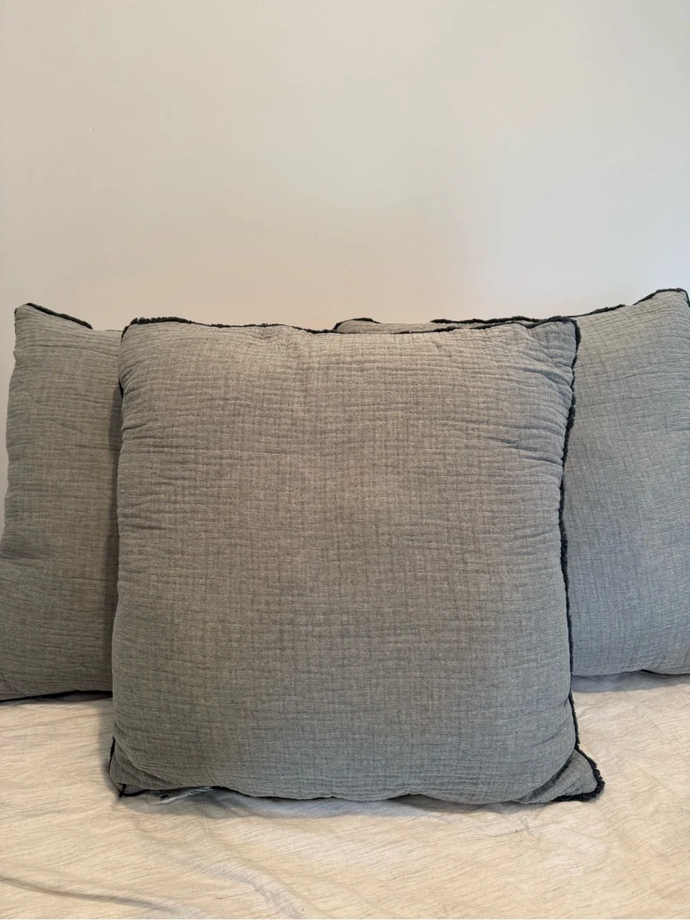 Casaluna Pillows Set of 3 Euro 26